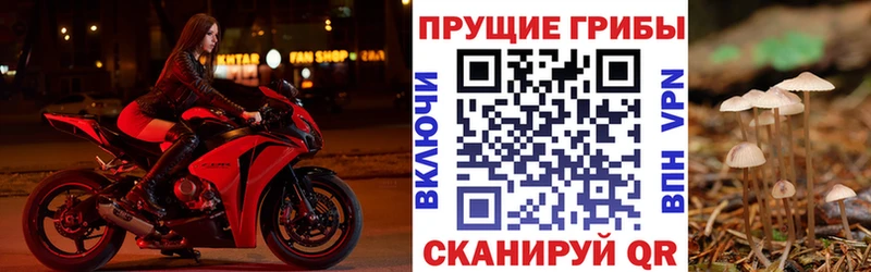 кракен ТОР  магазин  наркотиков  Нижняя Тура  Псилоцибиновые грибы Cubensis 